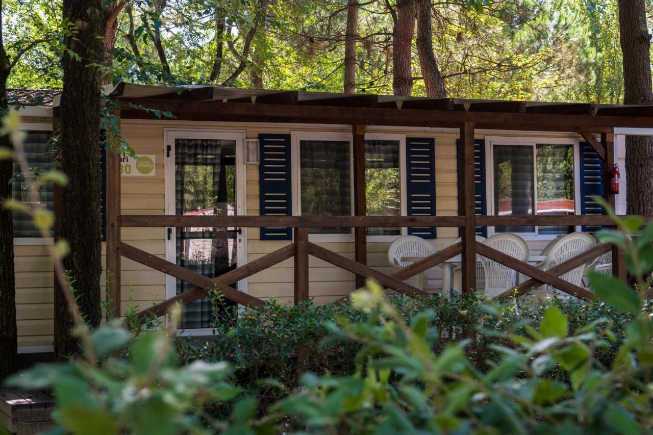 Mobile Home,1260502915:JPEG