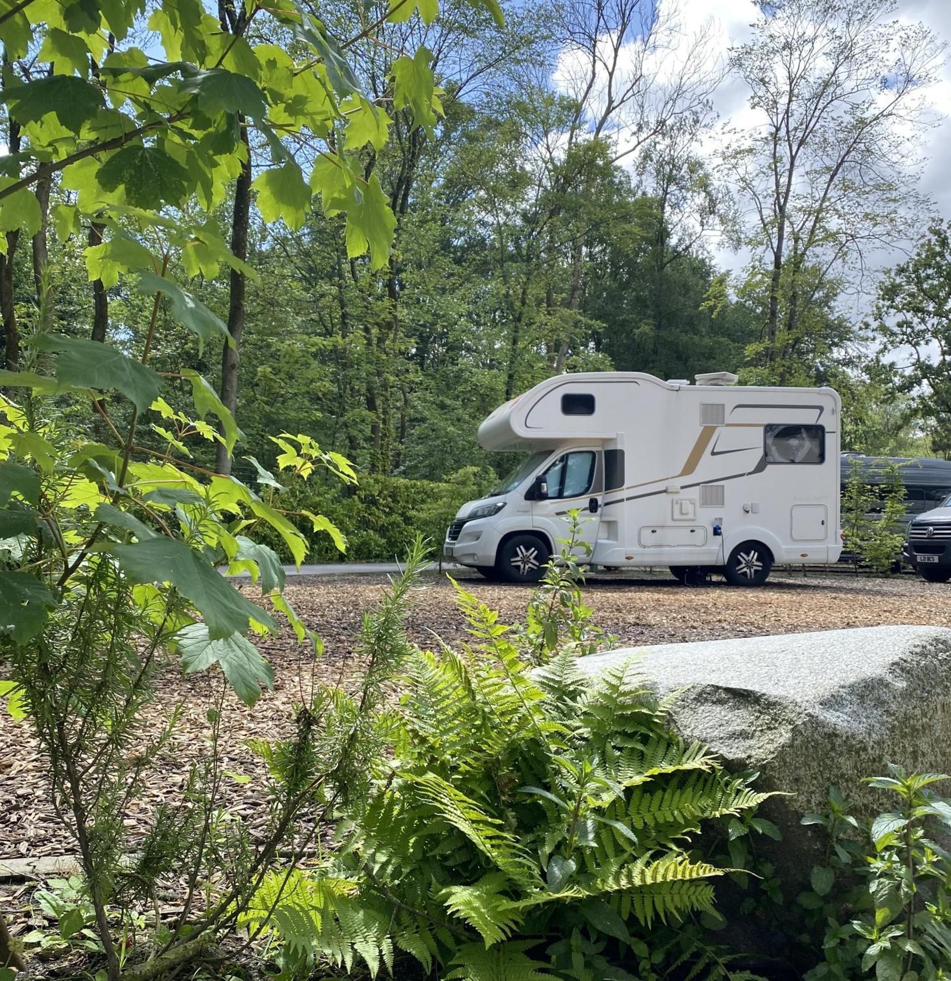 Camping spot