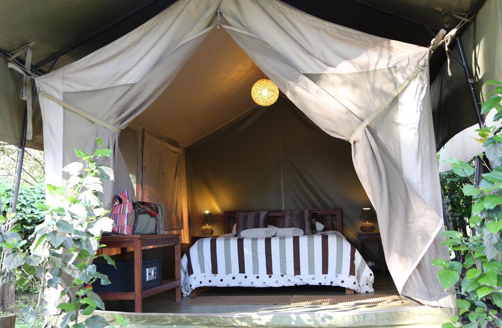 Double or Twin Tent