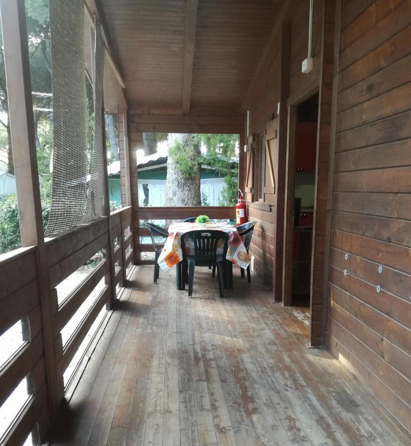 Family Bungalow Disability Access,642555429:JPEG