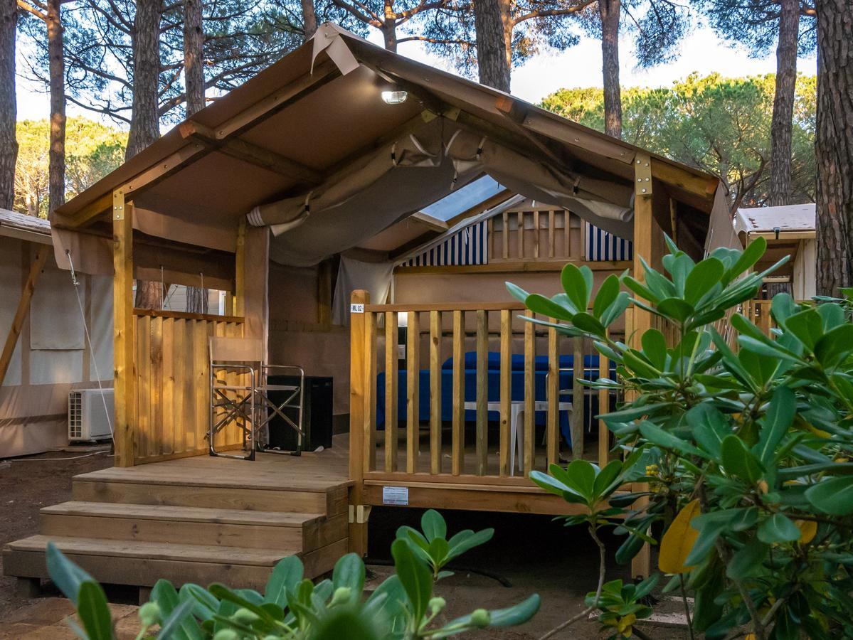 Tenda Mini Lodge,664928595:JPEG