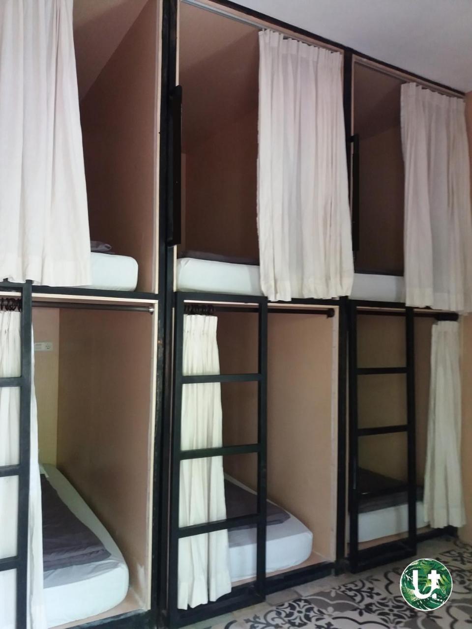 Bed 6-Bed Female Dormitory Room,747069482:JPEG