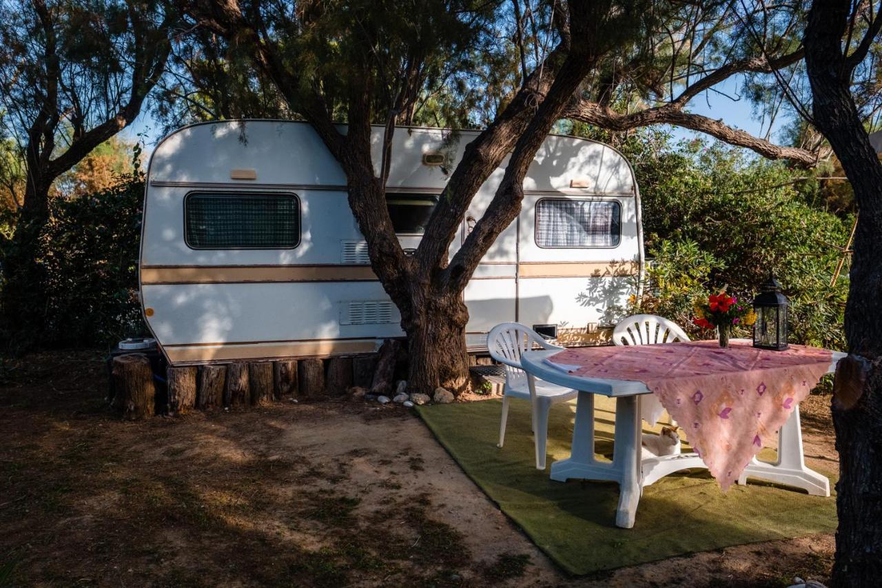 Medium Caravan