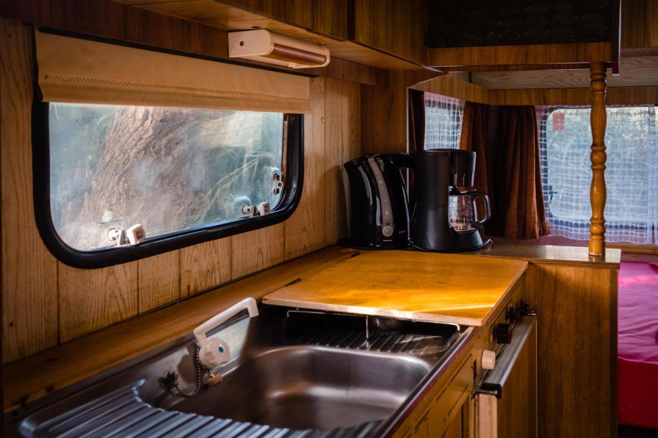 Medium Caravan