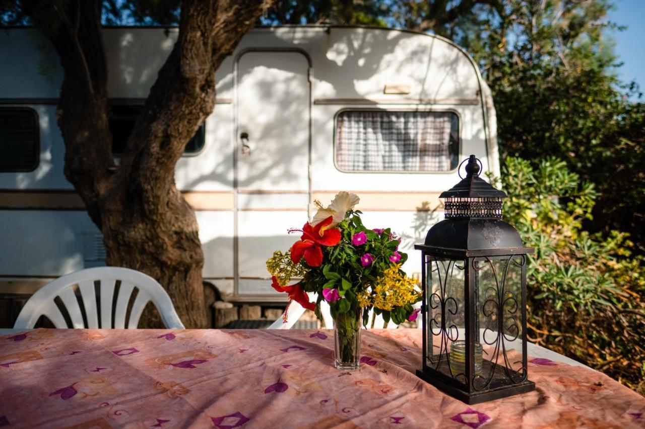 Medium Caravan