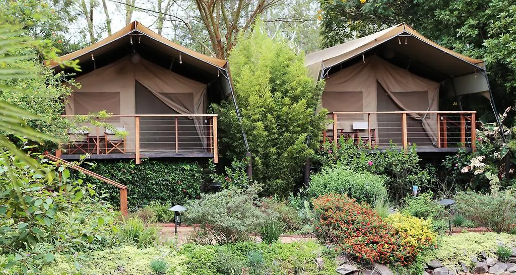 Wildebeest Eco Camp-1