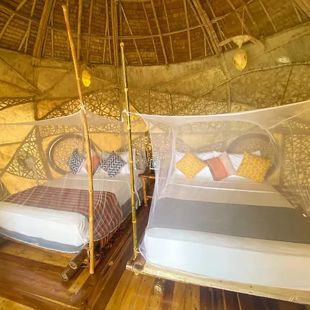 Dryft Darocotan Island (Adults Only)-3