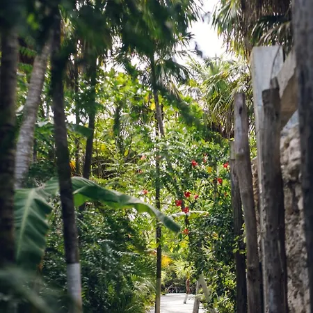 Uman Glamping & Cenote Tulum-2