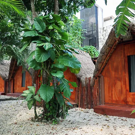 El Búho Glamping Bacalar-2
