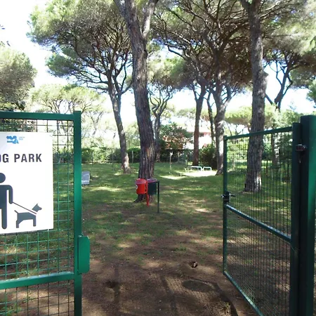 Camping Eden-2