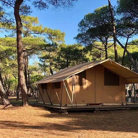 Camping la Tamarissière-2