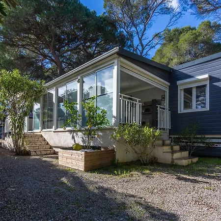 Domaine du Pin de la Lègue-3