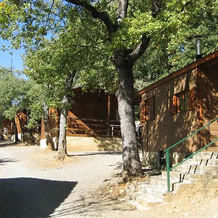 Holacamp Ainsa-3