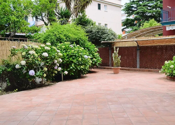 Hotel vicino al College: Green House