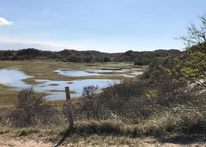 Slaperij Salud! Studios&appartementen