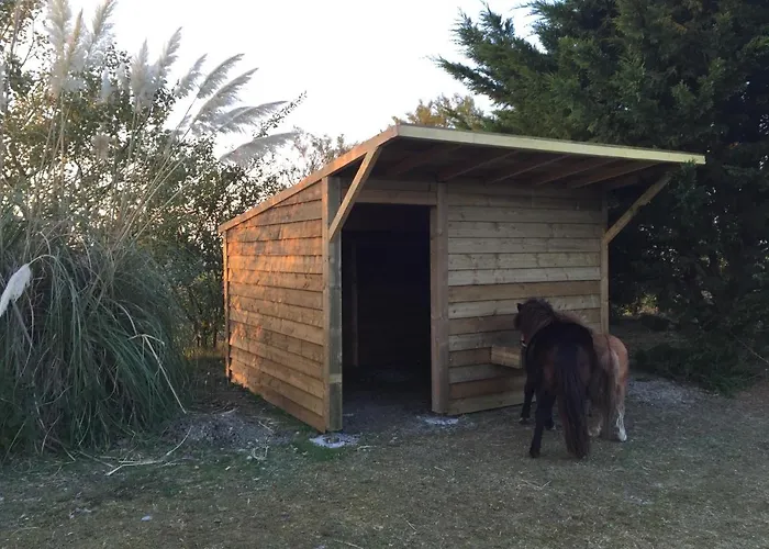 Hôtel accueillant les animaux: La belle étoile chambres d'hôtes