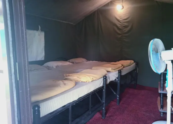 Jungle Retreat Dandeli - Homestay