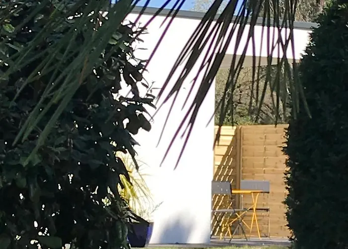 Hôtel accueillant les animaux: le 25 l'océan