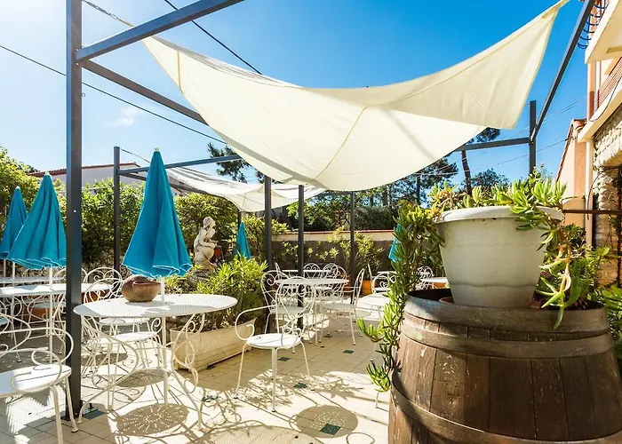 Hôtel accueillant les animaux: Hôtel Restaurant - Villa Les Sirènes