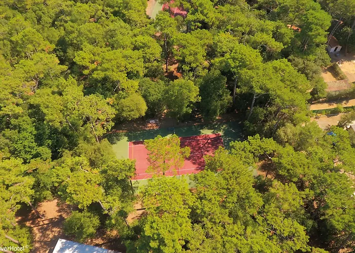 Bleues Les Jardins De L'Atlantique