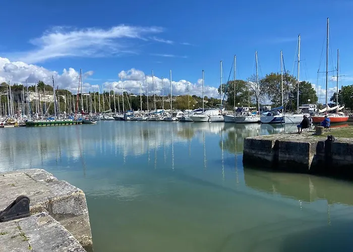 Hôtel accueillant les animaux: Village Vacances Les Mathes