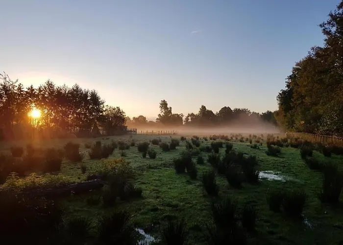 Pipowagens bij Pannenkoekenrestaurant&Camping De Koppenjan 'Een uniek verblijf met kinderspeelboerderij'