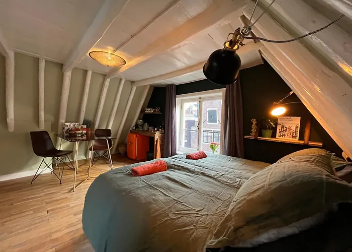 Huisdiervriendelijk hotel: Attic Monkeys Lodge