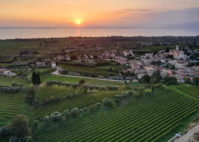 Haustierfreundliches Hotel: Villa Calicantus