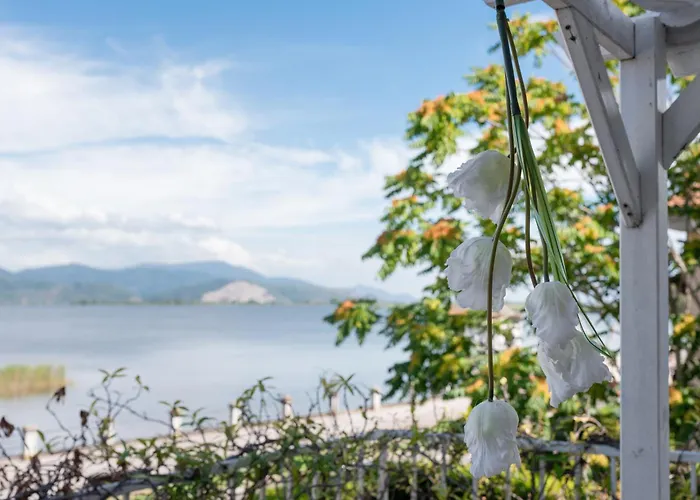 Hotel adatto agli animali: Hotel Butterfly