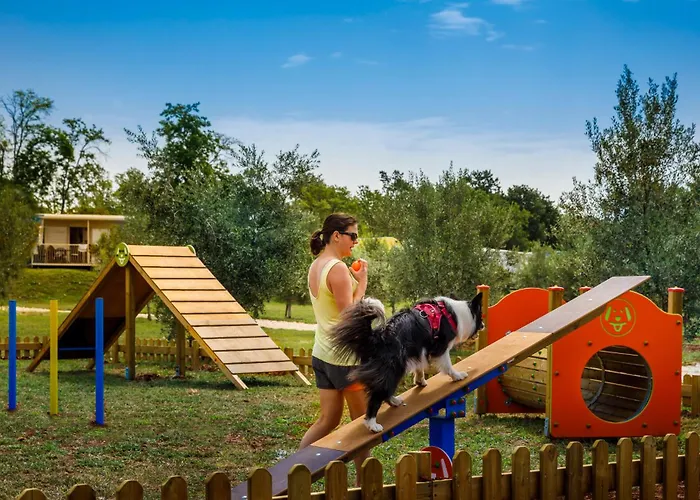 Aminess Planet Camping Maravea Pitches