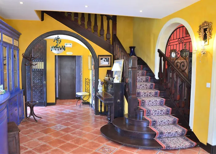 Hôtel accueillant les animaux: Hotel Villa Des Anges