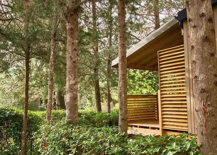 Camping de la Vallée Heureuse