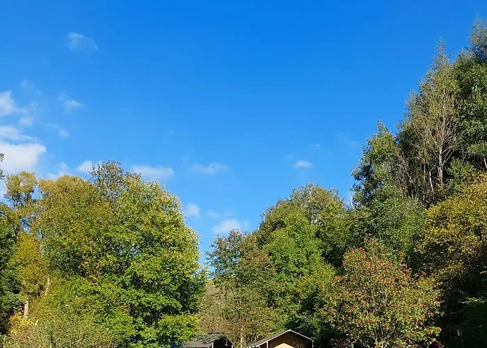 Camping Drei Spatzen