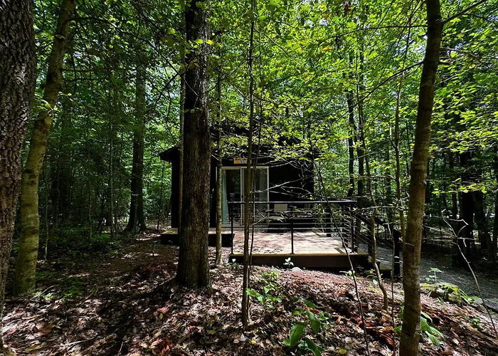 Couples Glamping Cabin-Bearly Behaving At Valley Bear Farms Resort
