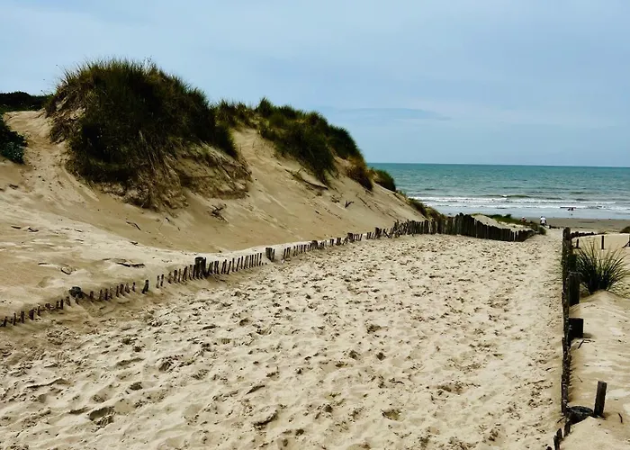 Au cœur des Pins
