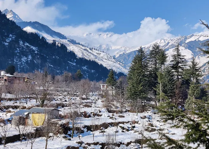 The Hostels Safar Manali