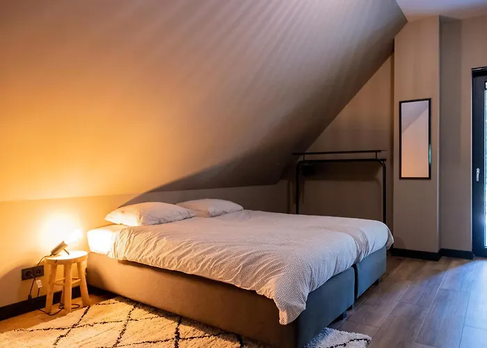 midden in de bossen bij schapendrift 29