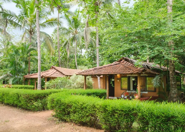 Nature'S Nest Goa - An Immersive Nature Holiday Resort In Goa'S Western Ghats