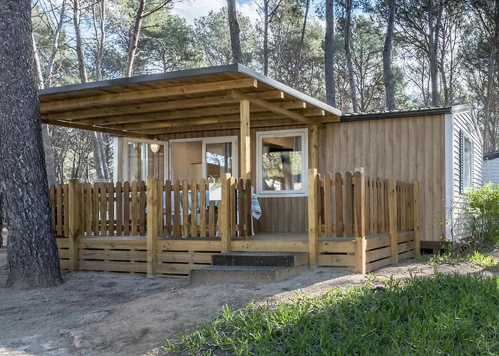 Hotel que admite mascotas: Camping Las Palmeras