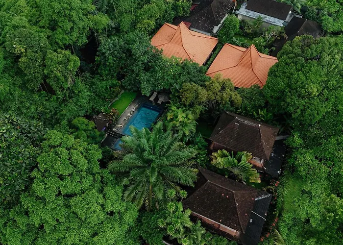 Sari Bamboo Villas