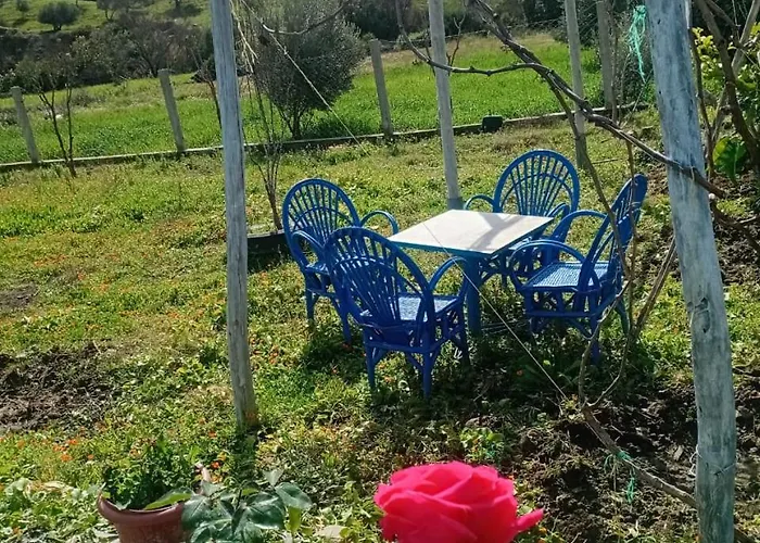 Dar Zitouna