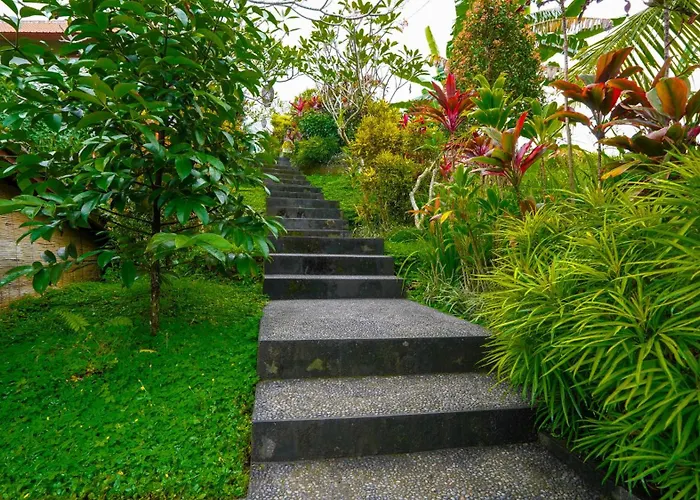 Hotel: Green Coconut Cottage