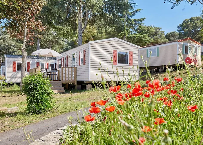Domaine Résidentiel de Plein Air Odalys La Pinède