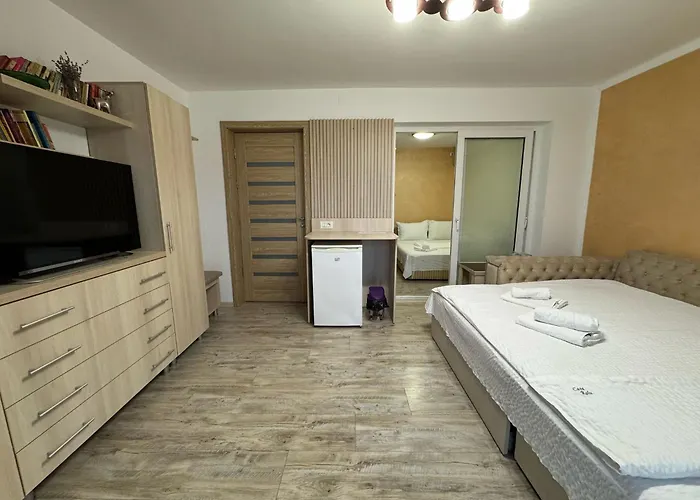 Casa Ralu Costinesti