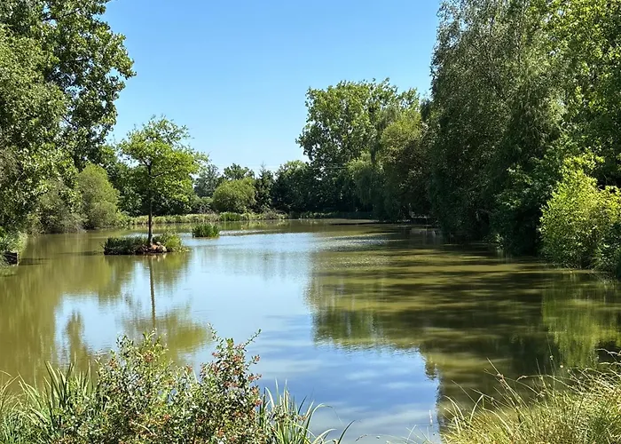 Les Rives De Bel Air - Hébergements - Camping - Caravaning