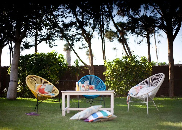 Nexo Surf House