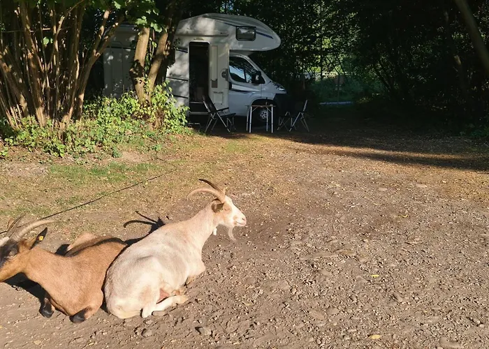 Camping - Bring Your Tent Or Van And Experience Our Club!