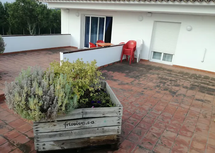 Hôtel accueillant les animaux: Hotel Platja D'Aro