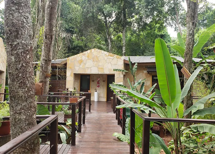 Selva De Laurel