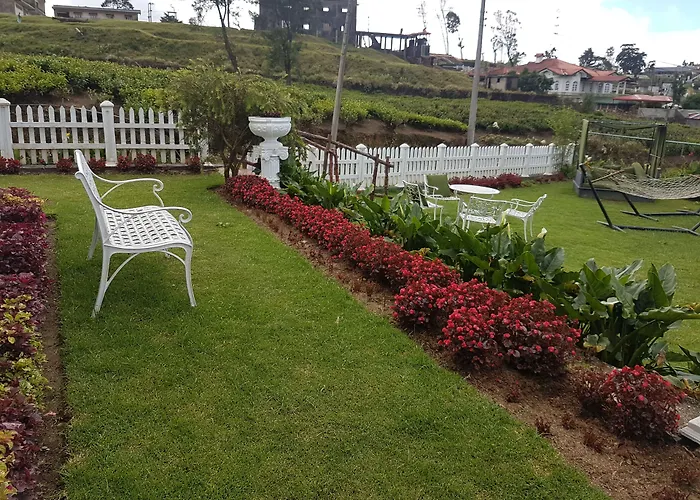 The Tea Garden